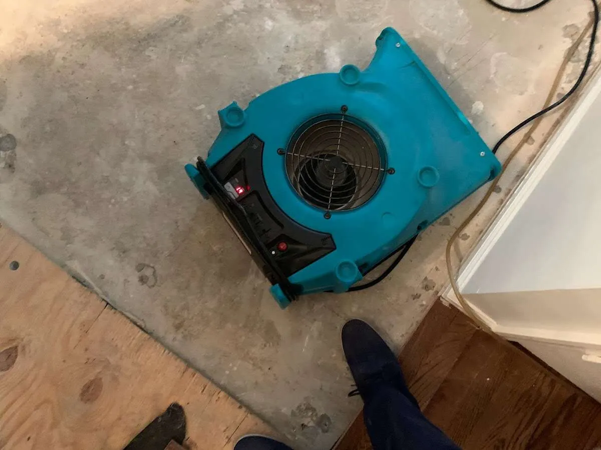Air mover drying subfloor during Commercial Water Damage Restoration in Wright